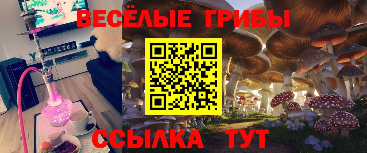 МЕФ кристаллы  Кокаин  Канабис  Alpha PVP СК   Ейск  Вход с VPN  Гашиш  АМФ  